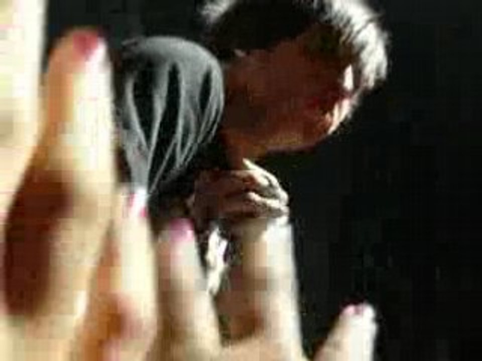 fall out boy à lille