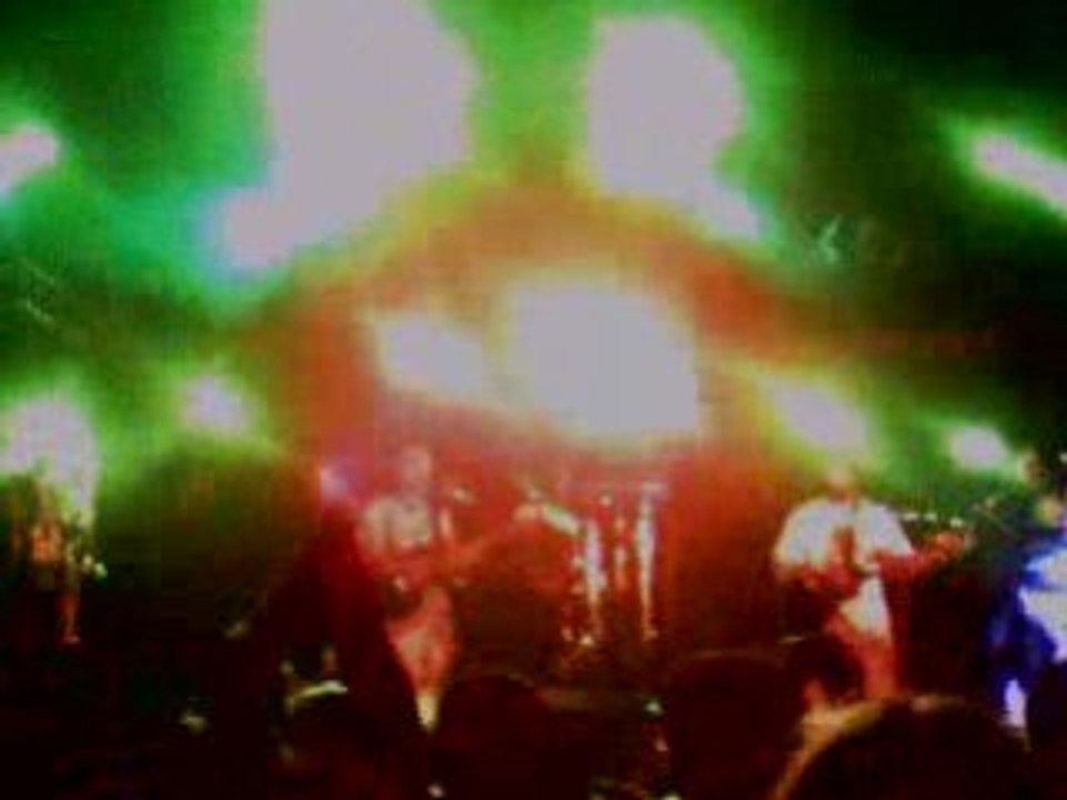 Chien à Plumes 2008 Africain a paris