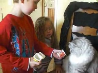 Elisa, Baptiste et Topaze