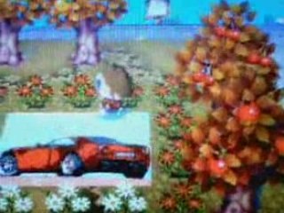 [ACWW] Heaven - comment créer une ville fleurie