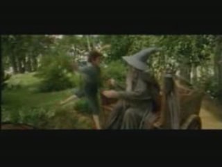 THE DREAM MERCHANT (Rita Célia Dini )