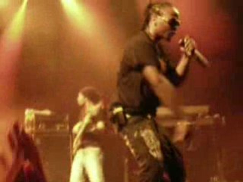 ADMIRAL T Sucre d orge 2