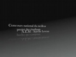 Placements oeuvres d'art