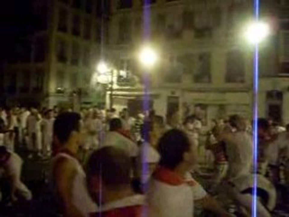 feria bayonne 2008
