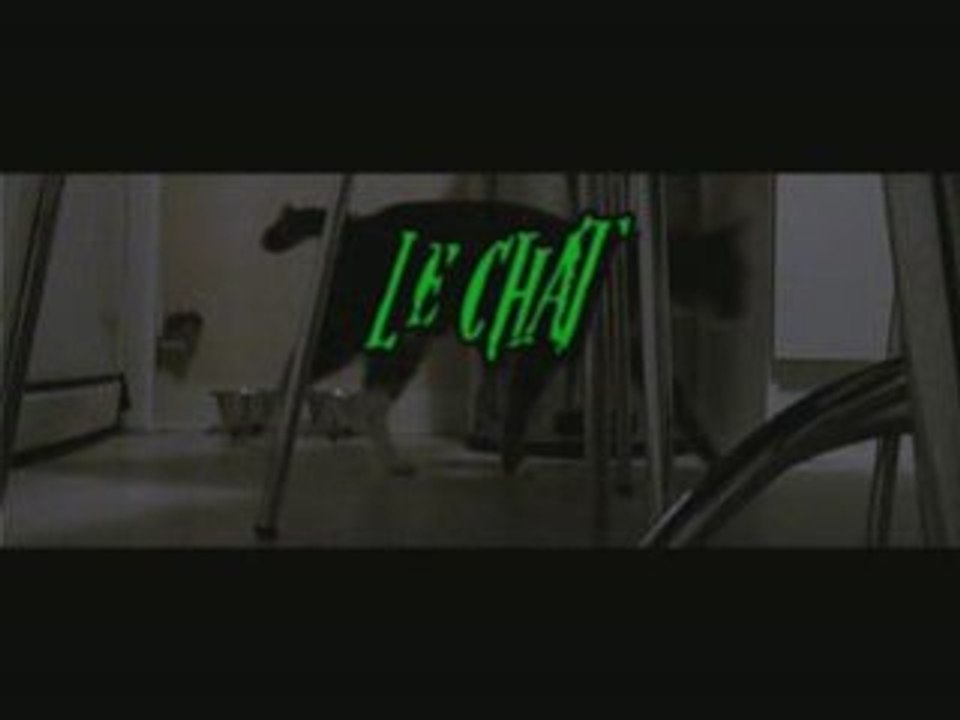 Le chat!