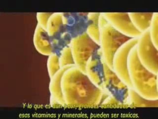 AGEL MIN:Mineralizacion TOTAL DIARIA