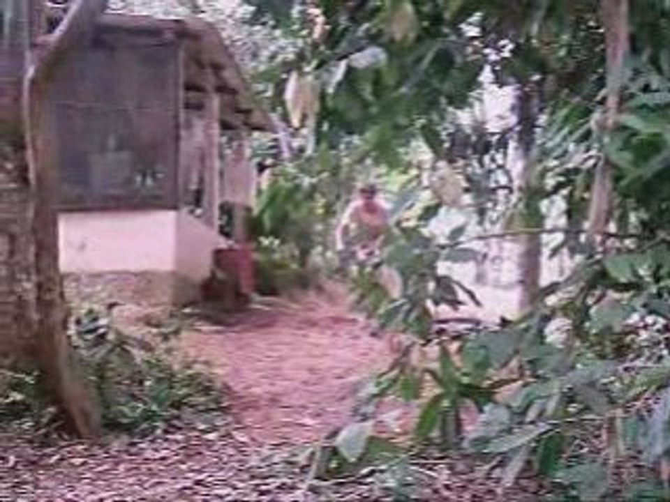 VÍDEOS LETAIS: TOMBOS LETAIS