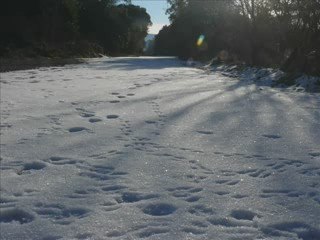 ~~ OÙ VA LE BLANC QUAND FOND LA NEIGE ~~