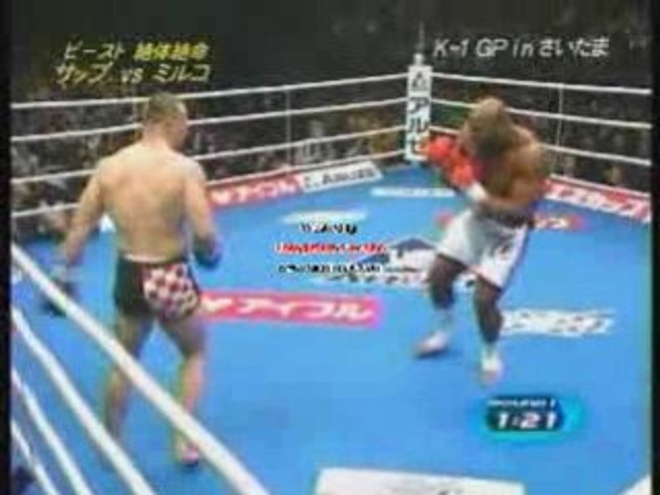 Mirko Cro Cop vs Bob the beast Sapp