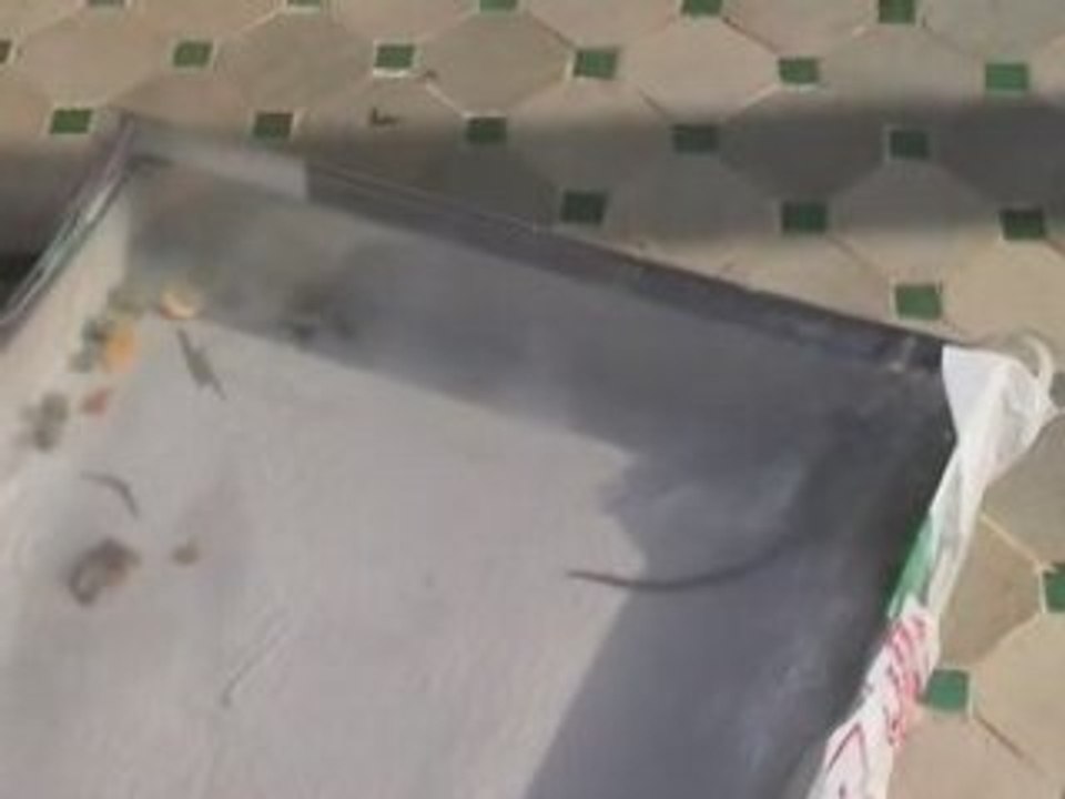 Capture Souris