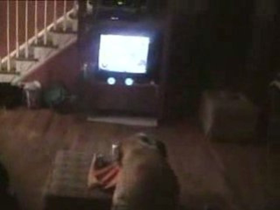 Les joies d'avoir un chien à la maison