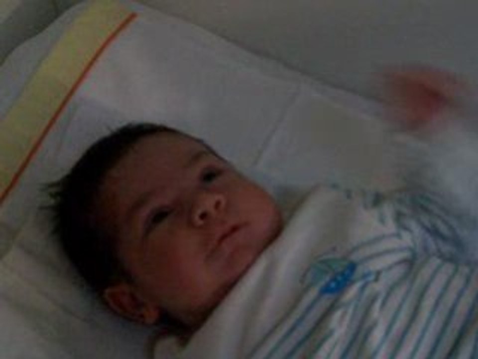 Alex291008 006