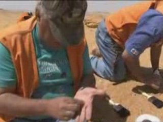 PLANETE TERRE 5_6 - Evoluer pour survivre 2_3