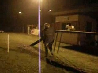 Dana à l'agility 29/10/08