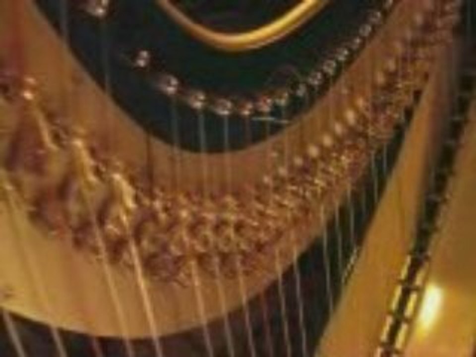 Performance du festival du Fa - Août 2008