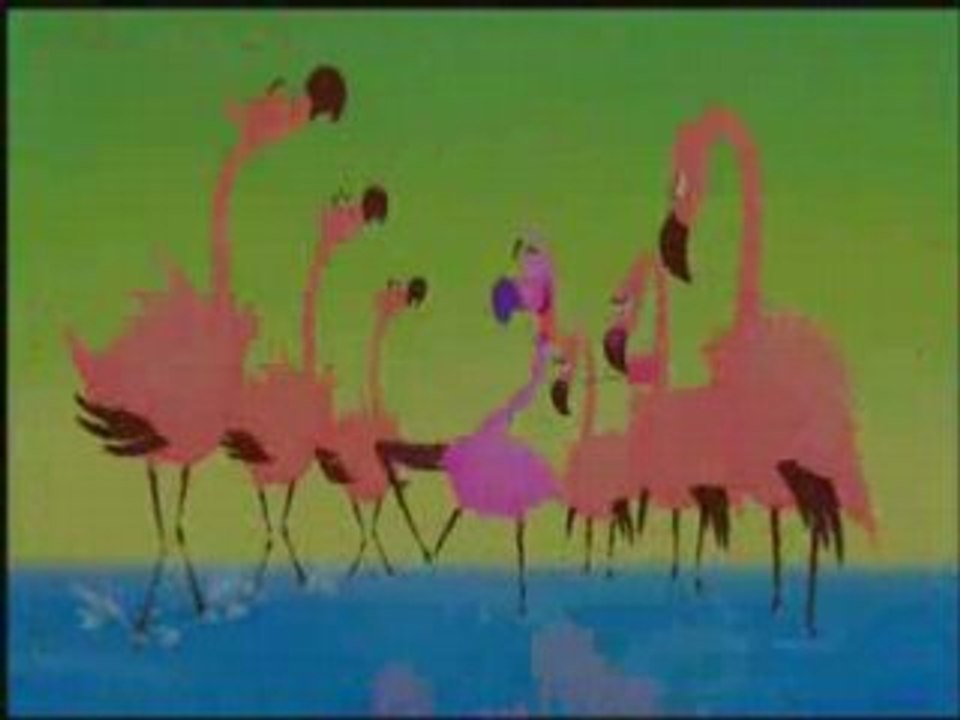 Le yoyo du flamands roses