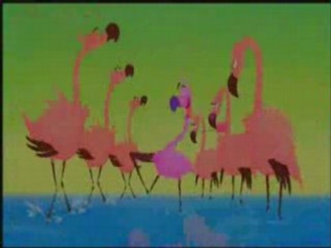 Le yoyo du flamands roses