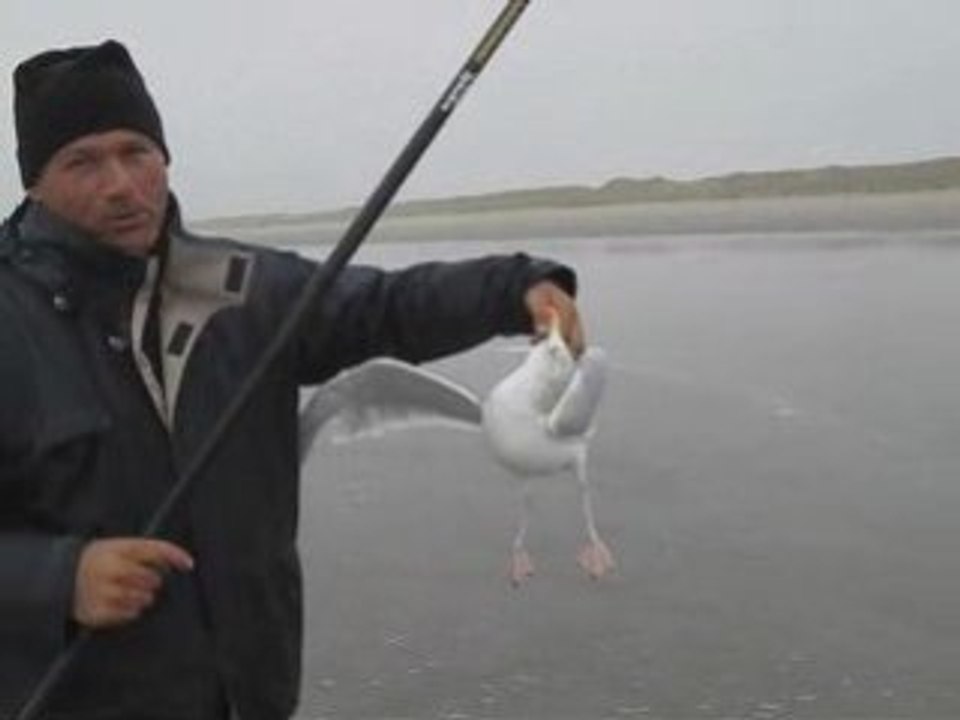 La mouette