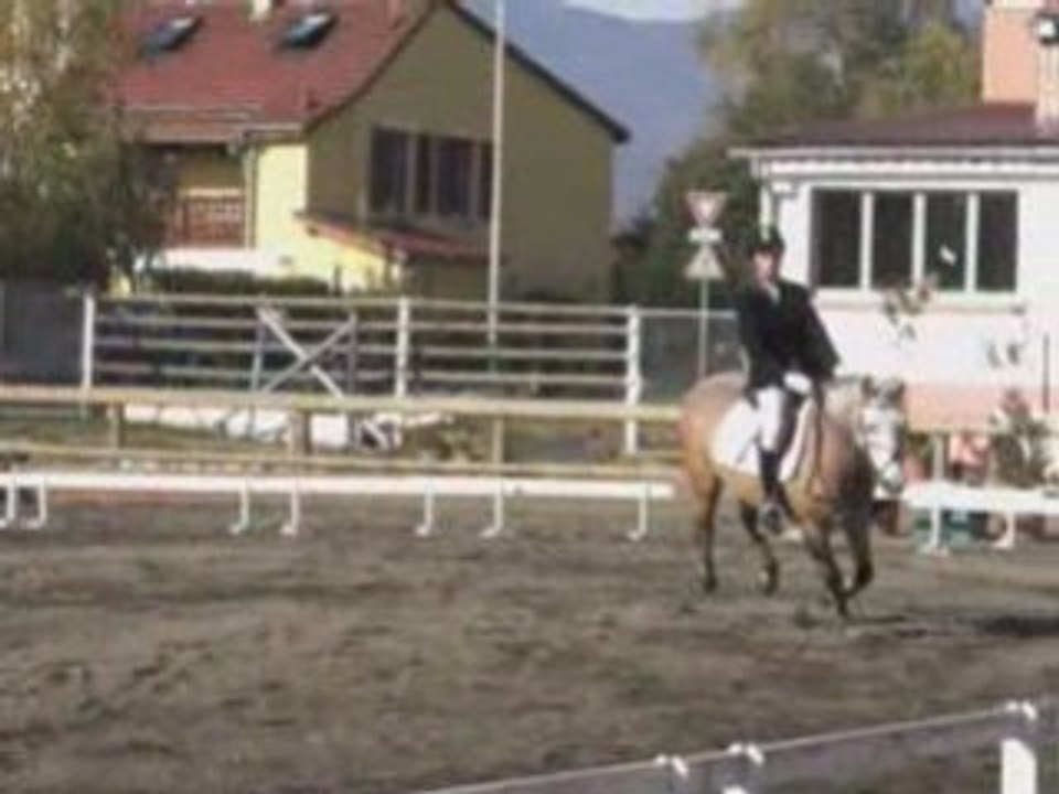 Dressage Colmar