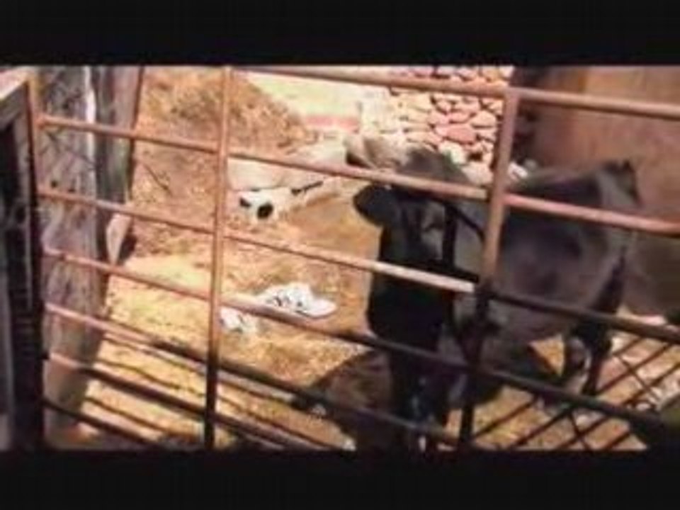 Pueblo 6