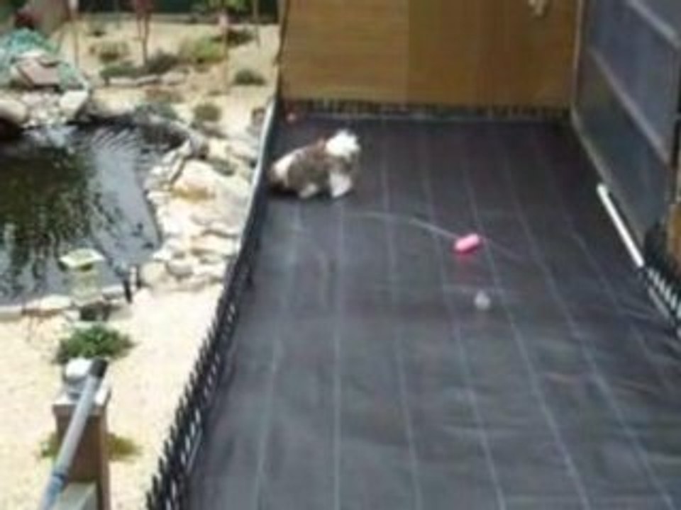 Vidéo 062