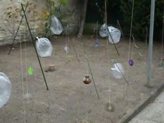 POUVEZ-VOUS FAIRE PEUR AUX PIAFS ?