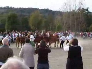 prix de famille breton, maurs, le 18-10-2008