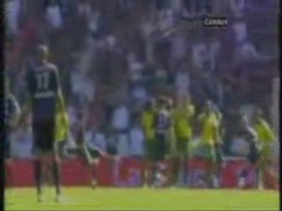 Pedro Miguel Resende Careiro Pauleta