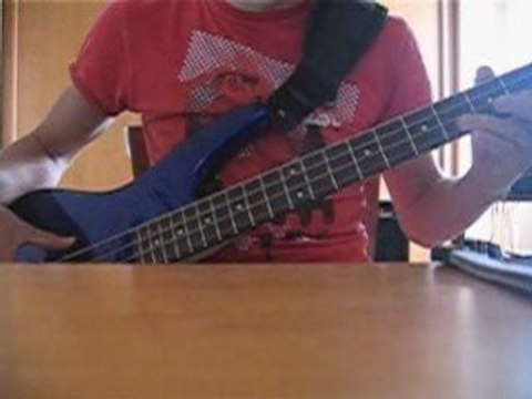 The strokes Reptilia bass cover