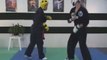 Sport Karate – Reverse Punch Timing Drill