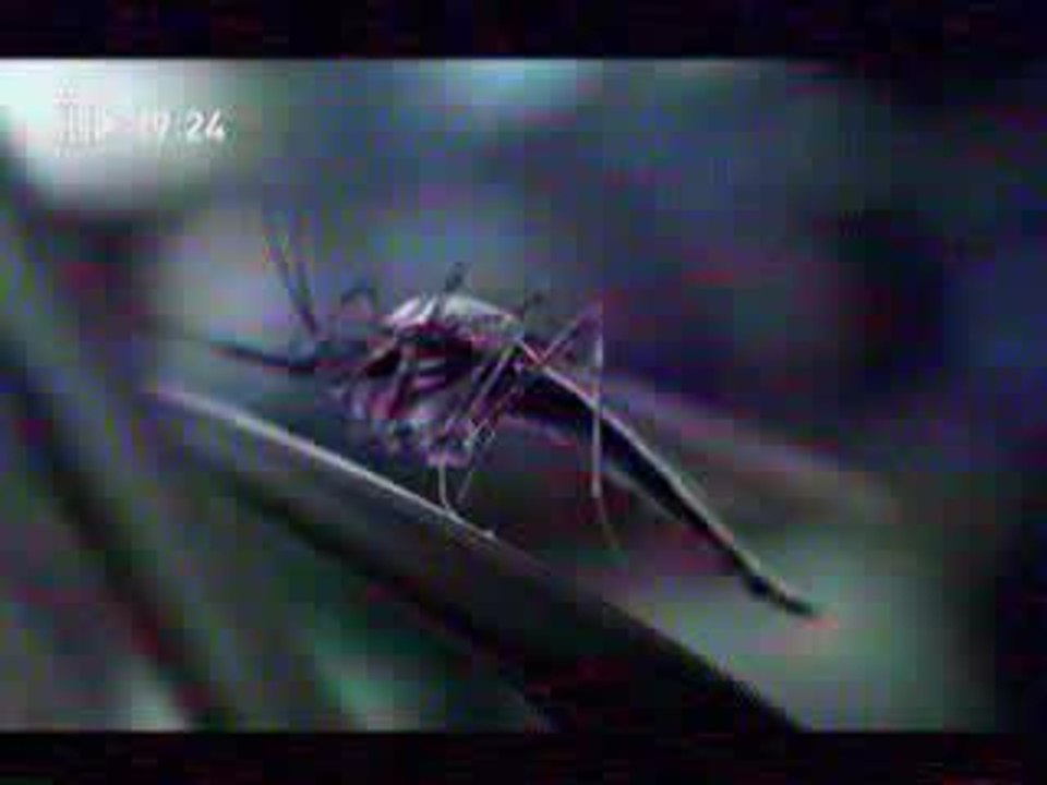 Pub - Xbox (moustique)