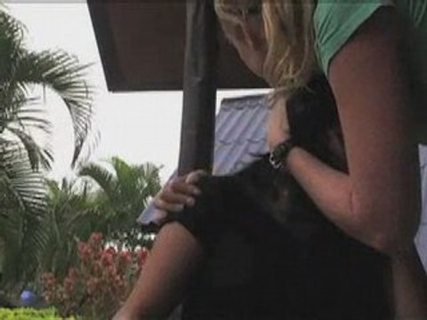 Week 23 - Roxy - Koh Tao to Koh Phi Phi, Thailand