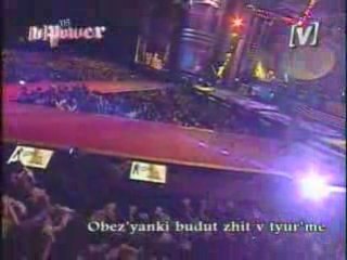 Tatu obezyanka nol live Taiwan