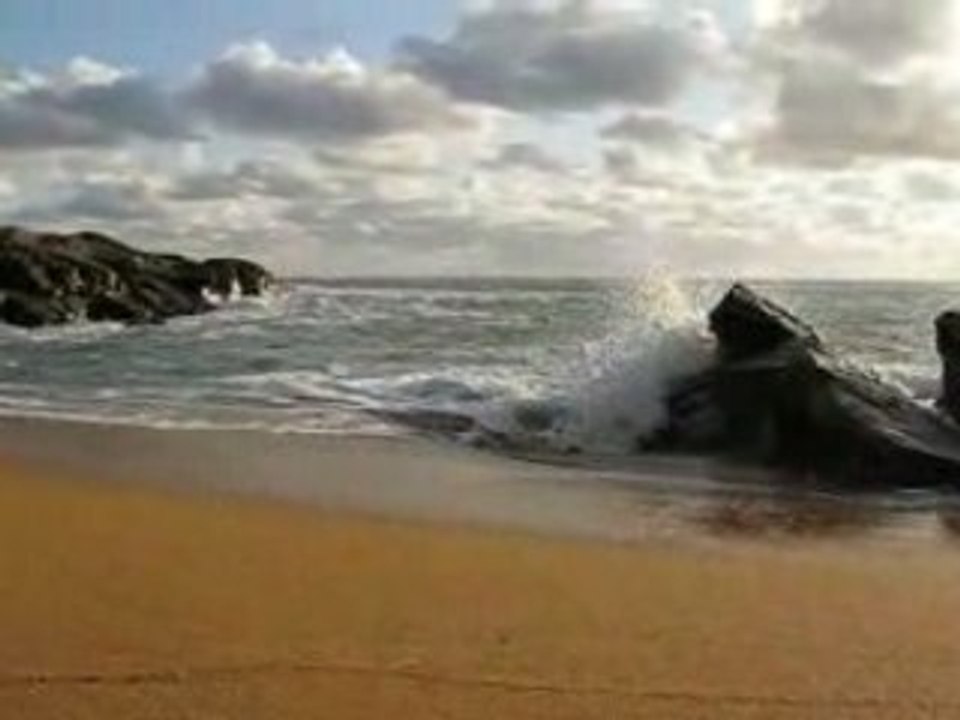 081027_YEU_toussaint 101.avi.ff