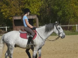 Compagnonne de concours et sa mouche :)