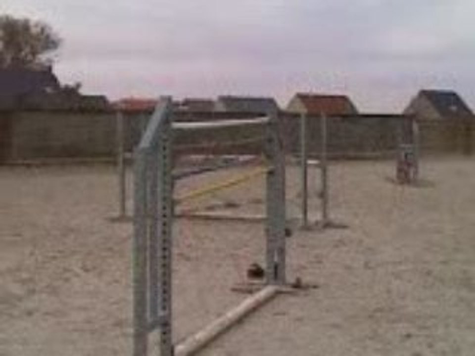 horseman  homme-cheval babass.