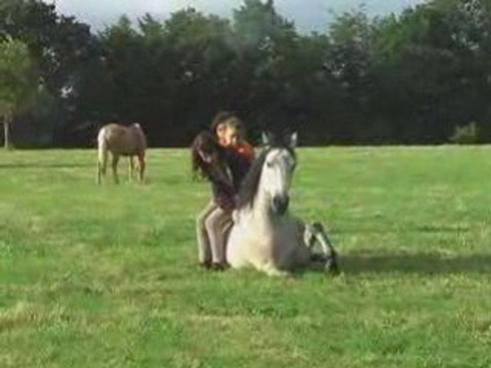 Poney sieste