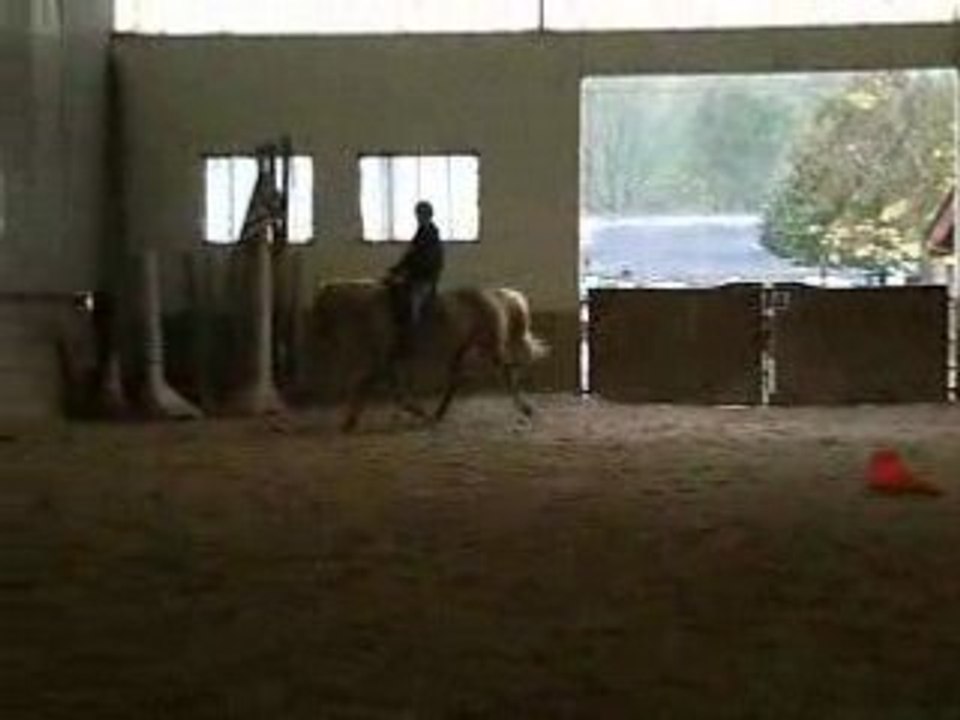 Kaliin et Moi ( départ au galop )