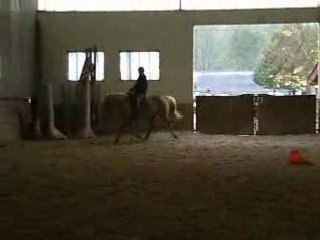 Kaliin et Moi ( départ au galop )