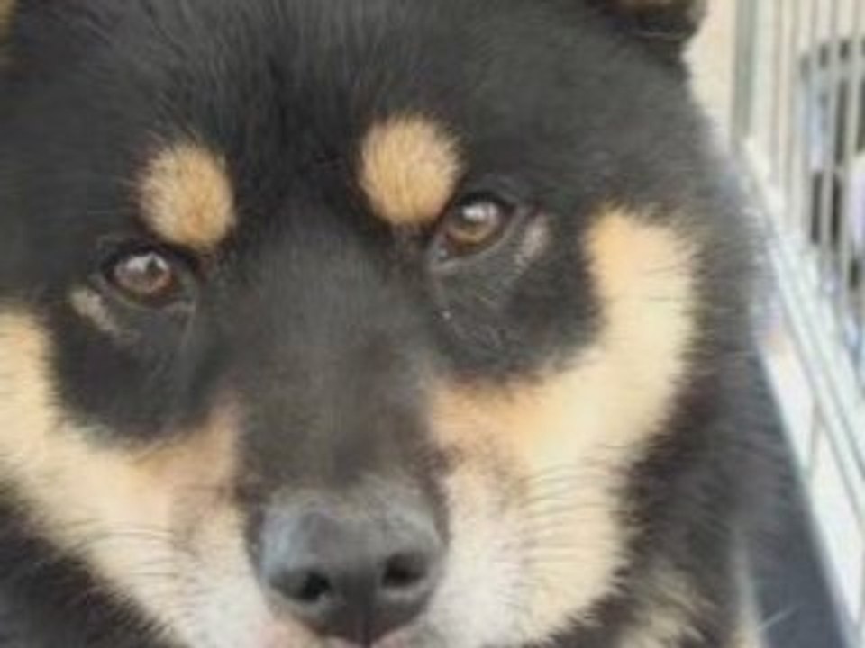 Hiro