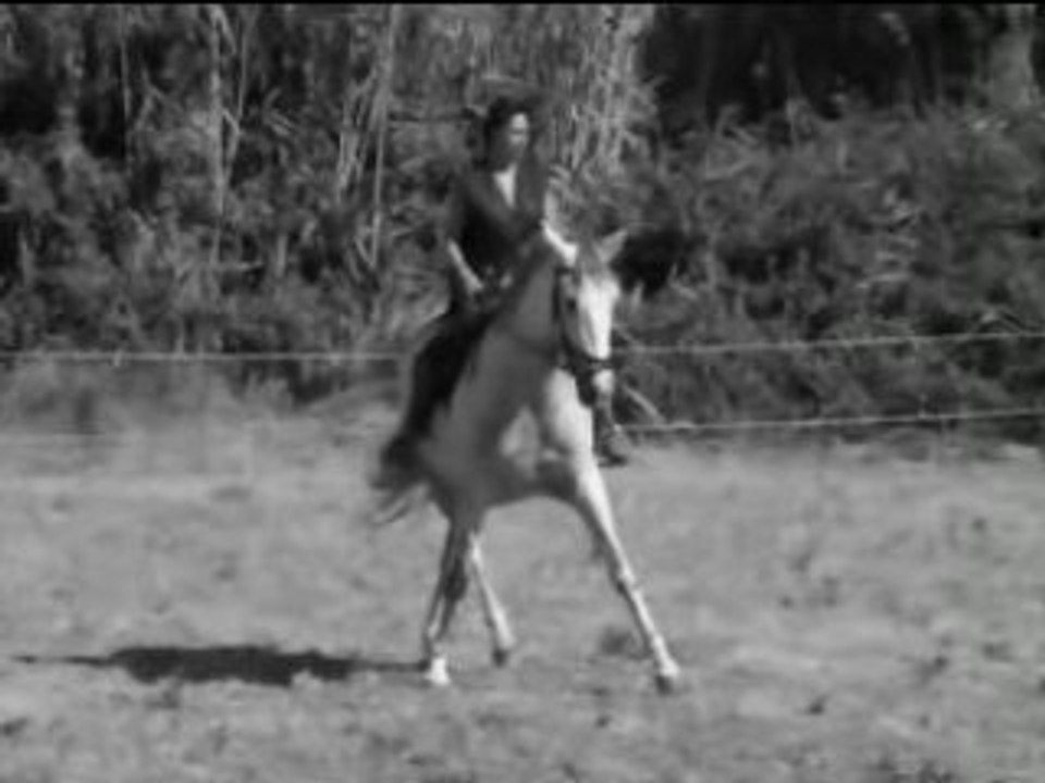 CALINCA Jument Lusitanienne