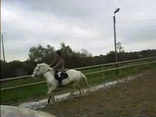 elle et moi petit parcours commenté par chloé^^