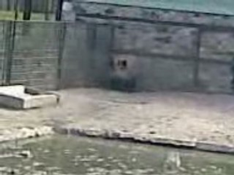 volkan botanikpark kocadomuz
