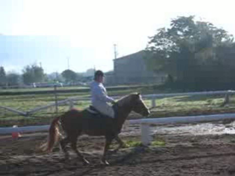 heliott