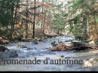 Promenade d'automne (Mark Pinkus)