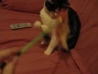 Chaussettes, 30 octobre 2008