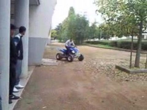 Raptor énervé dans la cité