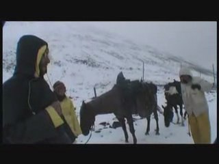 A cheval à travers l'Alaska
