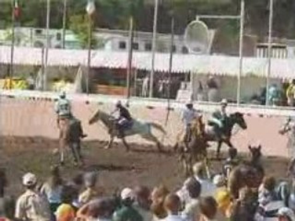Horseball Lamotte 2001 finale Minimes N1
