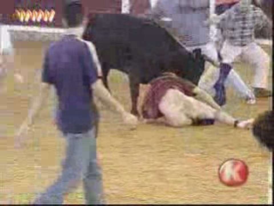 la revanche tu taureau